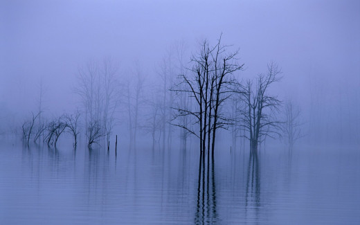 457798 (a): :1920x1200